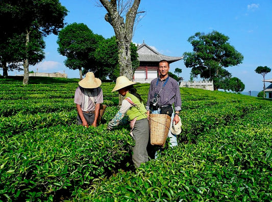 Sourcing From Ancient Farmers